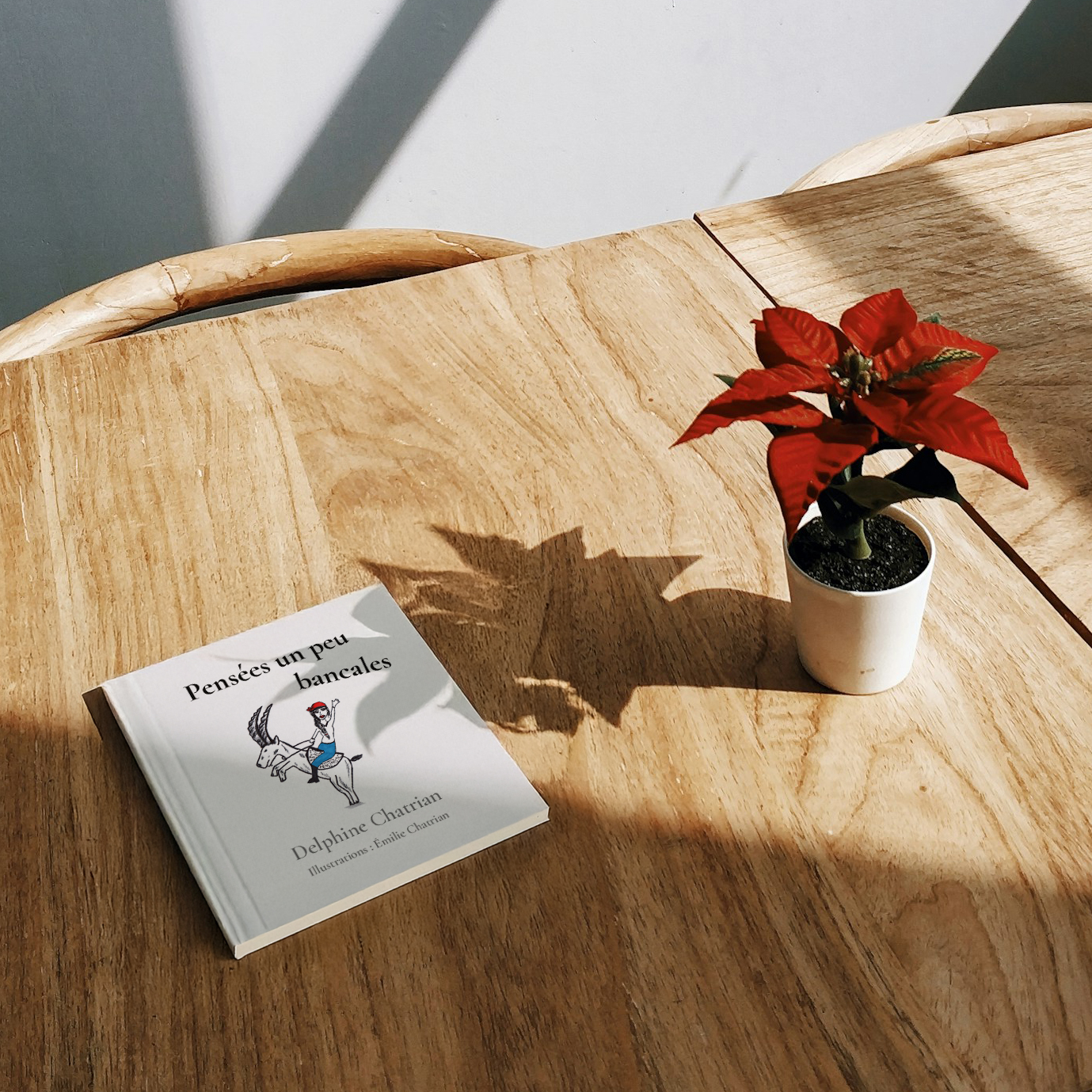 Mise en page du livre<br> de Delphine Chatrian